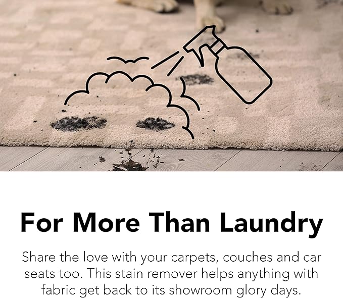 Get Stainy Bundle- 'Free & Clear' Laundry Detergent & 2Pk Stain Remover Spray. Washing Detergent Soap & Spot Treater Prewash for Activewear, Carpet, Gear. Kid, Pet & Sensitive Skin Safe