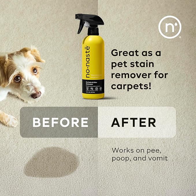 Pet Stain & Odor Eliminator Spray, Light Fresh Scent, 16oz (Pack of 2)