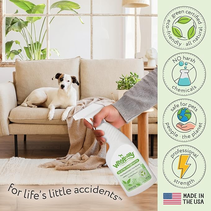 Ultra-Concentrated Stain & Strong Odor Eliminator, Enzyme Cleaner, Pet Odor Eliminator for Home - Dog Urine Destroyer - Carpet Cleaner Spray, Green Tea Scent, 16 fl oz