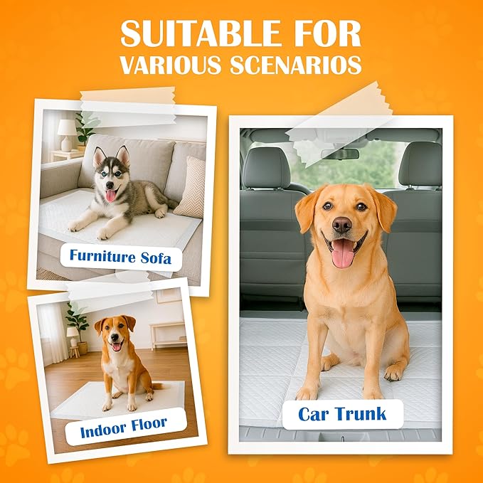 Paws & Claws Premium Disposable Dog & Puppy Pee Pads – Extra Large 30"x36", 30-Count – 6-Layer Leak-Proof, Super Absorbent (Holds 10 Cups), Odor Control, Quick-Dry, Non-Slip for Large Dogs, Multi-Pet