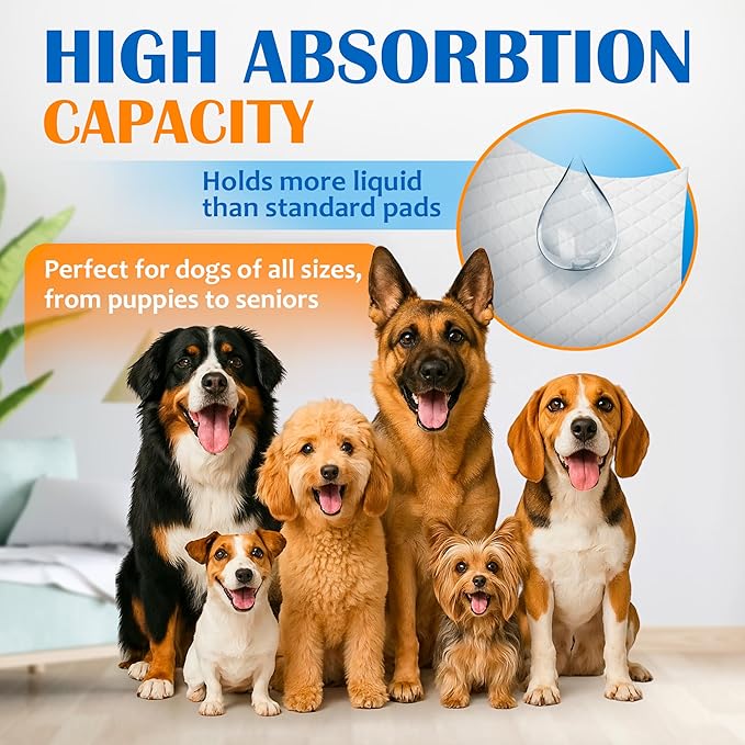 Paws & Claws Premium Disposable Dog & Puppy Pee Pads, Large 28"x30", 40-Count – 6-Layer Leak-Proof, (Holds 8 Cups), Super Absorbent & Odor Control for Large Dogs, Seniors & Multi-Pet Homes