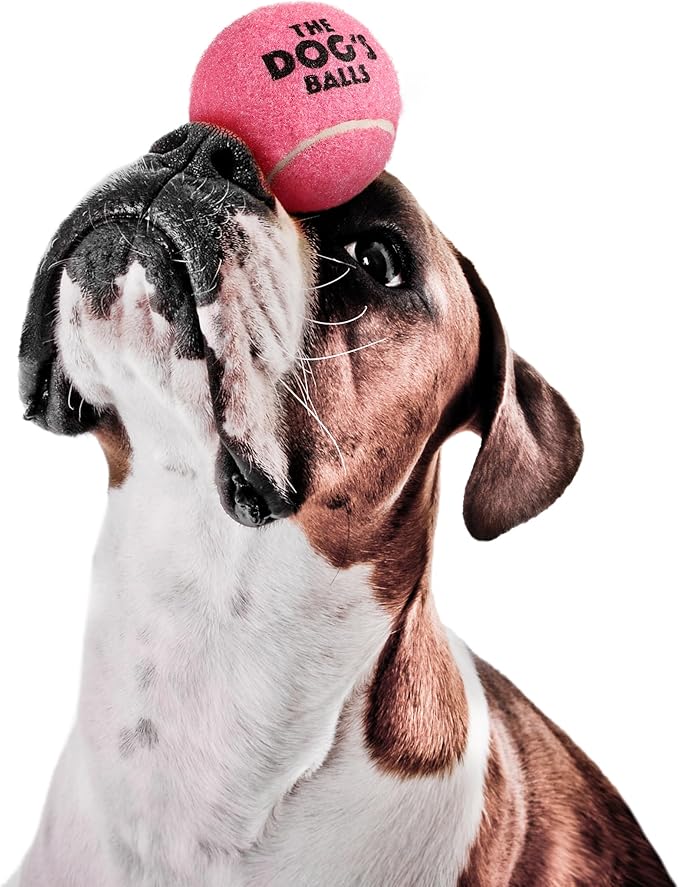 The Dog's Balls Dog Tennis Balls for Dogs, Pink, 12-Pack - Non-Abrasive Felt Fetch Balls, Tough Rubber Core, Float in Water, Fits Standard Launchers