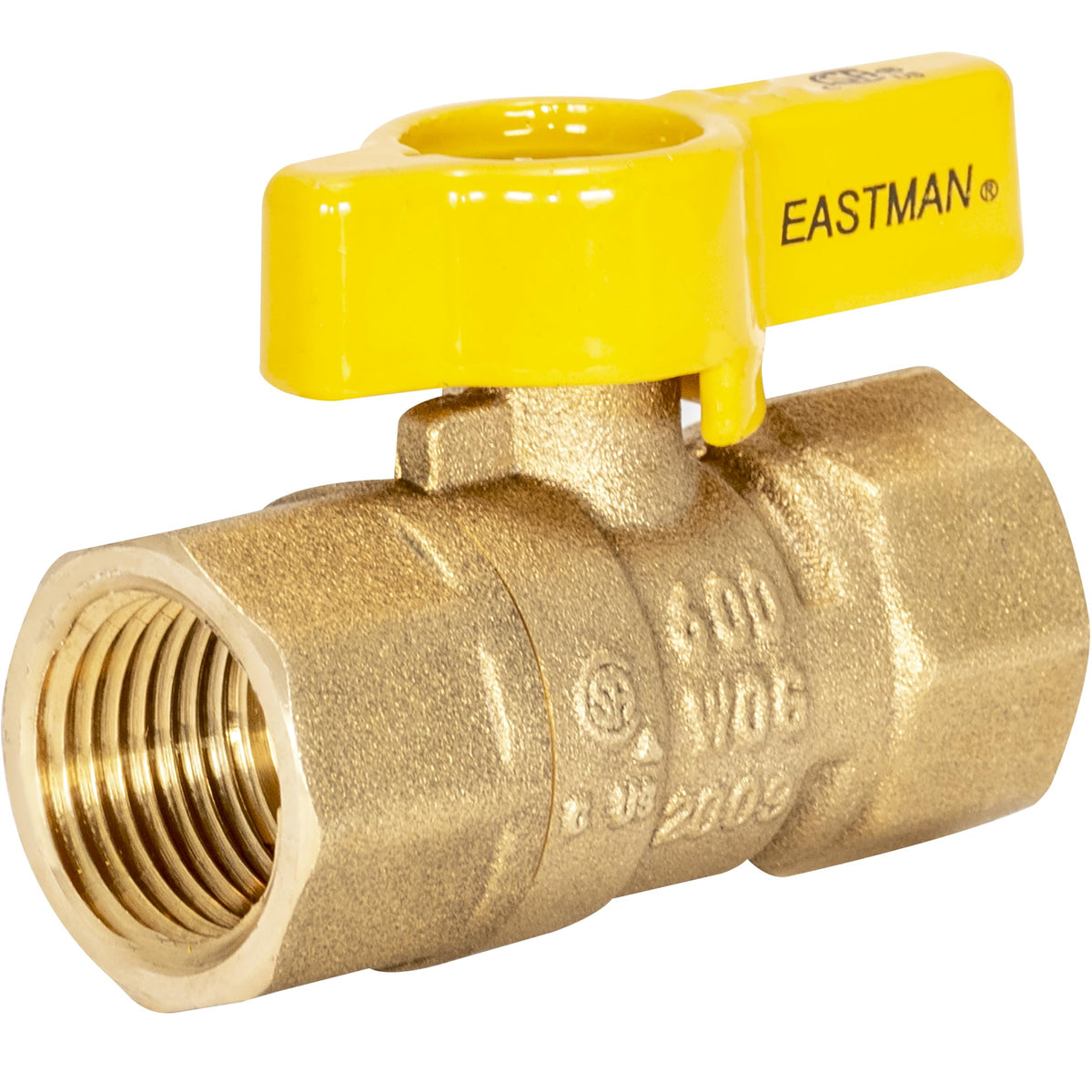 Eastman 1/2 Inch FIP Straight Gas Ball Valve with 1/4-Turn - Image 1