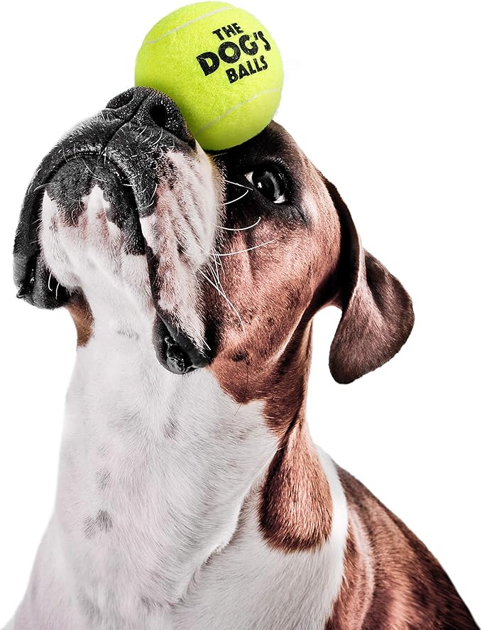 The Dog's Balls Dog Tennis Balls for Dogs, Yellow, 12-Pack - Non-Abrasive Felt Fetch Balls, Tough Rubber Core, Float in Water, Fits Standard Launchers