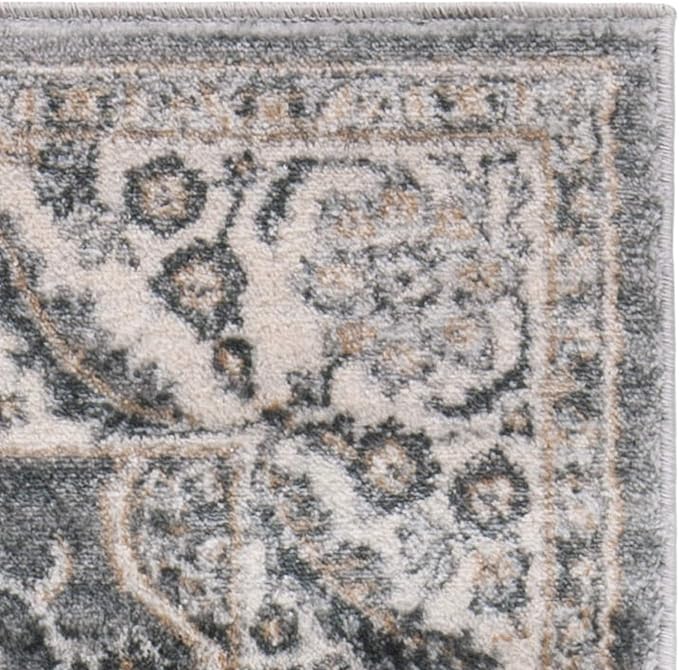 SAFAVIEH Isabella Collection Area Rug - 9' x 12', Grey & Dark Grey, Oriental Design, Non-Shedding & Easy Care, Ideal for High Traffic Areas in Living Room, Bedroom (ISA912H)