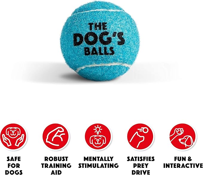 The Little Dog’s Balls Dog Tennis Balls for Small Dogs & Puppies, Blue, 6-Pack - Non-Abrasive Felt Fetch Balls, Tough Rubber Core, Float in Water
