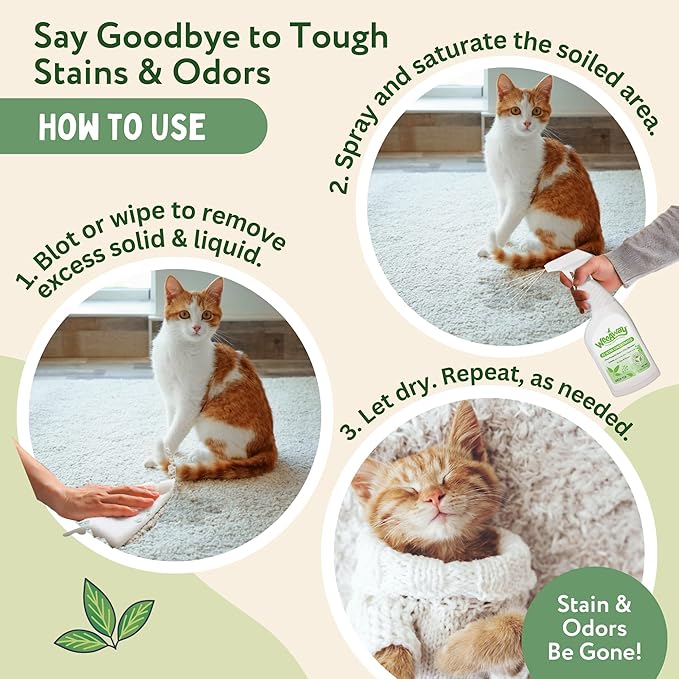 Ultra-Concentrated Stain & Strong Odor Eliminator, Enzyme Cleaner, Cat & Kitten Urine Destroyer - Carpet Cleaner Spray, Green Tea Scent, 16 fl oz