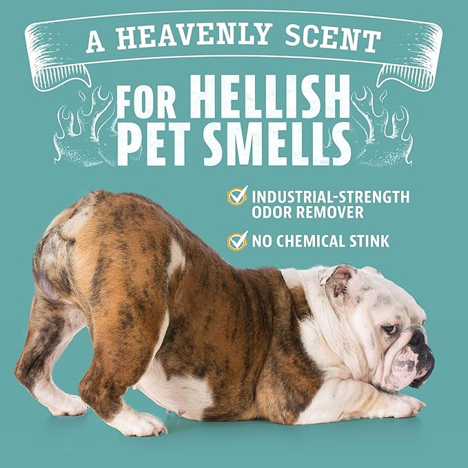 Angry Orange Pet Odor Eliminator Concentrate – 8oz Citrus Powered Concentrate for Strong Dog & Cat Urine Smells, Safe for Most Fabrics, Great for Carpets, Upholstery - Makes 128oz of Liquid
