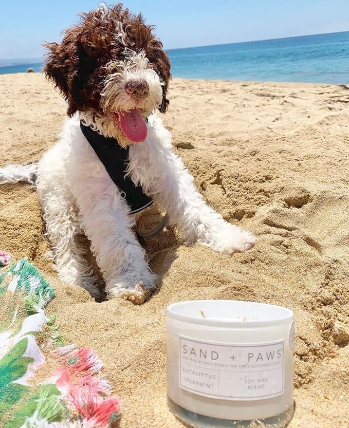 Sand + Paws Scented Candle - Amber & Fig - Additional Scents and Sizes –Luxurious Air Freshening Jar Candles Neutralize pet Odors and Enhance Home décor – 100% Cotton Lead-Free Wicks - 12 oz
