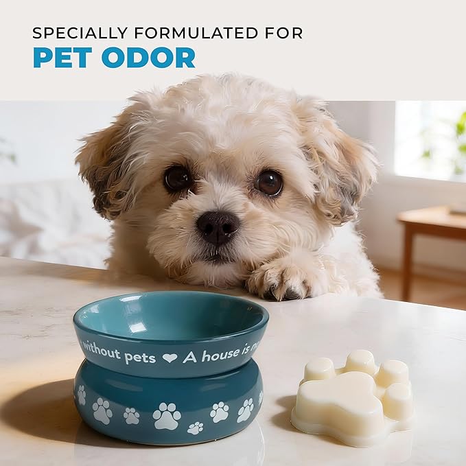 Pet House Lavender Green Tea, Fresh Citrus Scented Wax Melts - Long-Lasting Plant Based Soy Wax Melts Pet Friendly Pack of 2