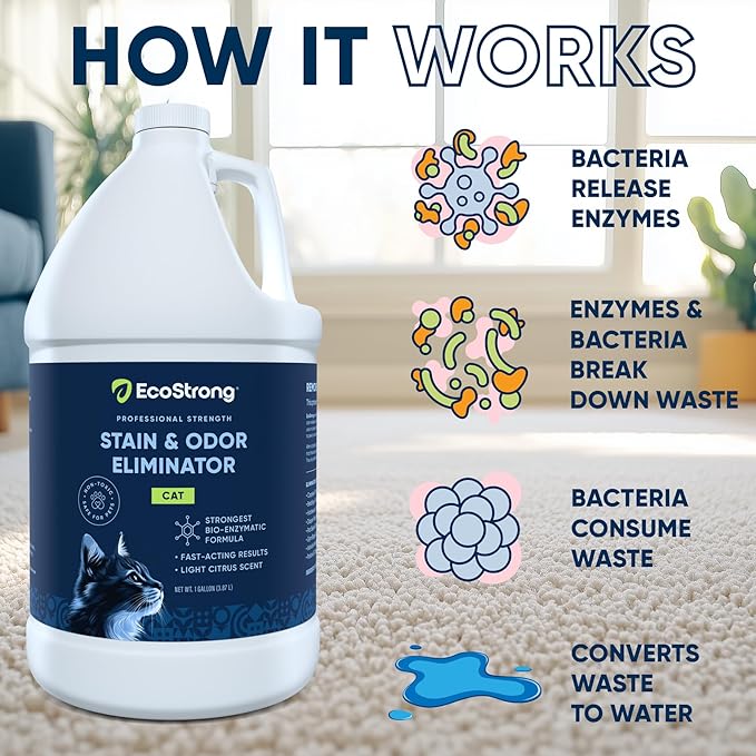 Eco Strong Cat Stain & Odor Remover - Enzyme Neutralizer Citrus Gallon Value Size