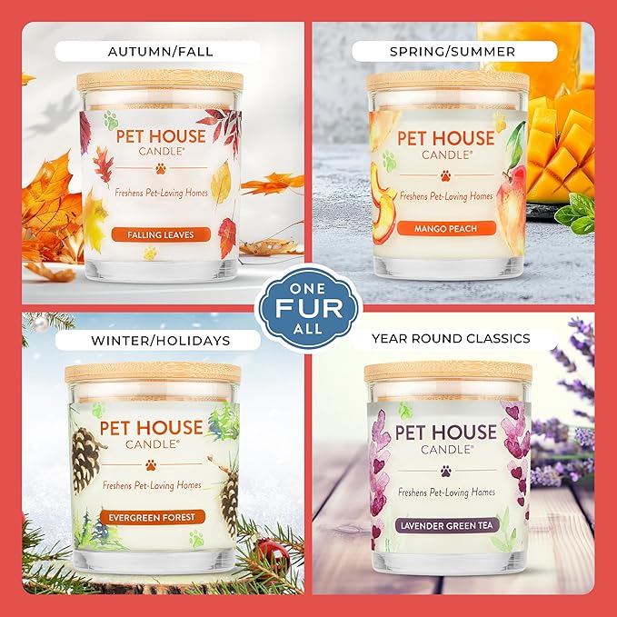 One Fur All Pet House Candle Plant-Based/Soy - Clean Burning Scented, Long Lasting Pet Odor Candle for Home - Hollyberry
