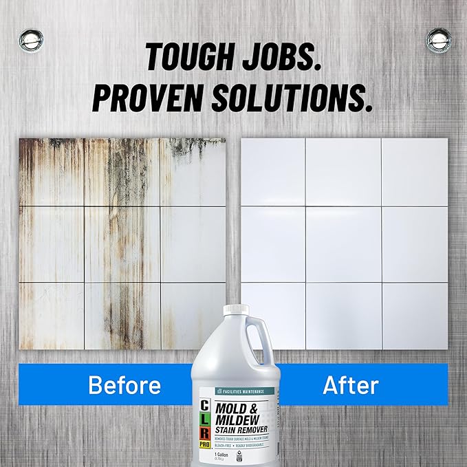 PRO Heavy Duty Mold & Mildew Remover - EPA Certified Bleach-Free Formula, 1 Gallon