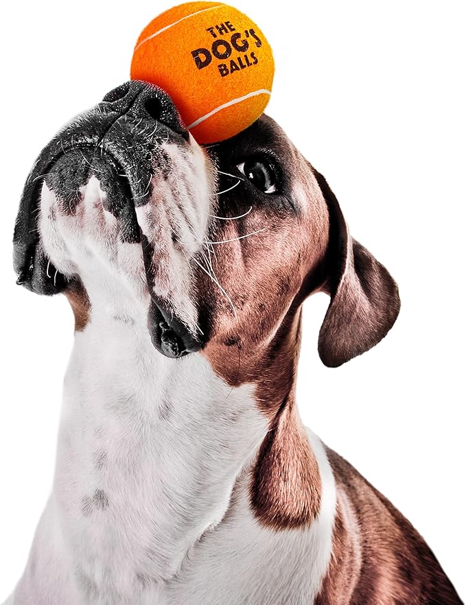 The Dog's Balls Dog Tennis Balls for Dogs, Orange, 12-Pack - Non-Abrasive Felt Fetch Balls, Tough Rubber Core, Float in Water, Fits Standard Launchers