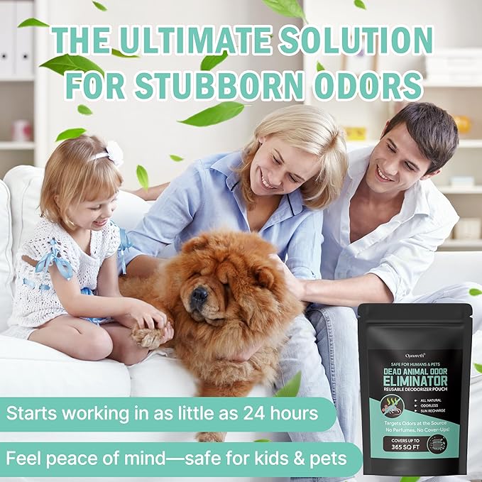 Dead Rodent Odor Absorber for Strong Indoor Smells – Industrial-Grade Deodorizing Pouch for Wall, Attic & Crawlspace – Fragrance-Free & Reusable – Covers Up to 365 Sq Ft – No Harsh Chemicals