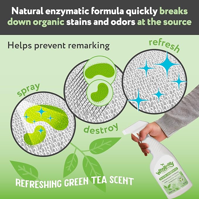 Ultra-Concentrated Stain & Strong Odor Eliminator, Enzyme Cleaner, Pet Odor Eliminator for Home - Dog Urine Destroyer - Carpet Cleaner Spray, Green Tea Scent, 16 fl oz