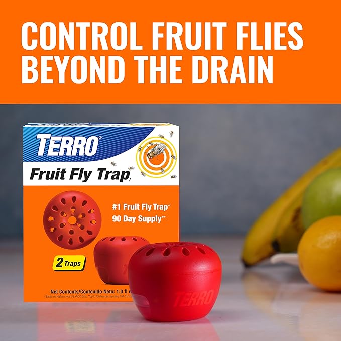 TERRO Drain Insect Killer - T590 Drain Fly Killer Spray - Foam Treatment for Fruit Flies, House Flies, and Cockroaches (Pack of 2)