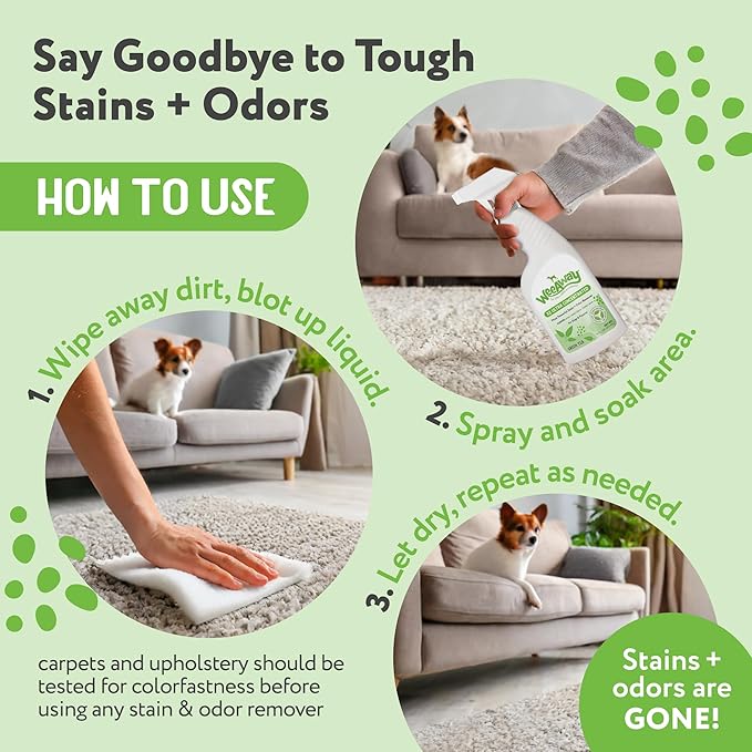 Ultra-Concentrated Stain & Strong Odor Eliminator, Enzyme Cleaner, Pet Odor Eliminator for Home - Dog Urine Destroyer - Carpet Cleaner Spray, Green Tea Scent, 16 fl oz