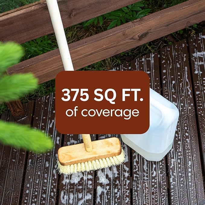 Deck Cleaner (454 g | 1 Lb | 16 oz)