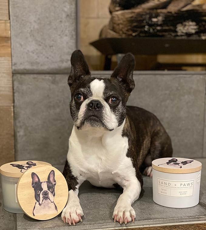 Sand + Paws Scented Candle - Fresh Jasmine - Additional Scents and Sizes –Luxurious Air Freshening Jar Candles Neutralize pet Odors and Enhance Home décor – 100% Cotton Lead-Free Wicks - 12 oz