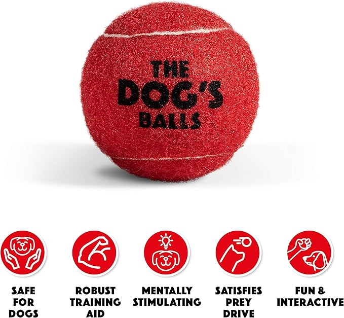 The Dog's Balls Dog Tennis Balls for Dogs, Red, 12-Pack - Non-Abrasive Felt Fetch Balls, Tough Rubber Core, Float in Water, Fits Standard Launchers