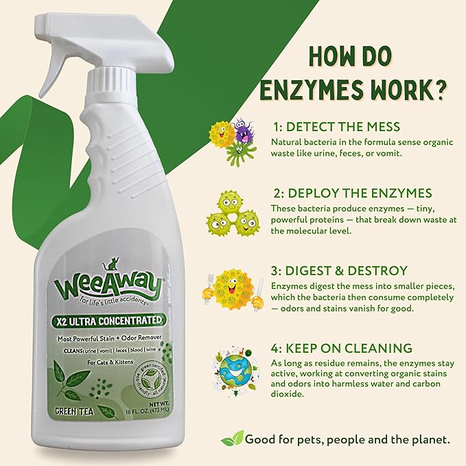 Ultra-Concentrated Stain & Strong Odor Eliminator, Enzyme Cleaner, Cat & Kitten Urine Destroyer - Carpet Cleaner Spray, Green Tea Scent, 16 fl oz