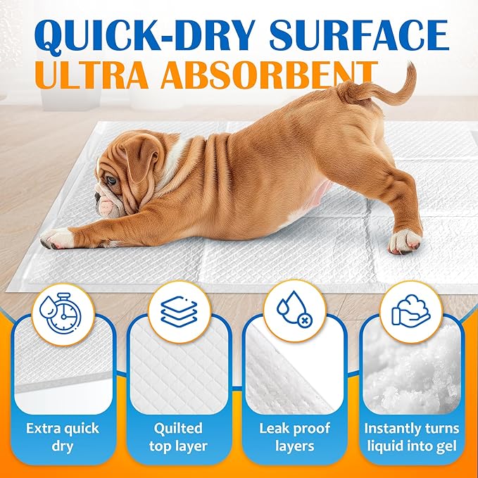 Paws & Claws Premium Disposable Dog & Puppy Pee Pads, Large 28"x30", 40-Count – 6-Layer Leak-Proof, (Holds 8 Cups), Super Absorbent & Odor Control for Large Dogs, Seniors & Multi-Pet Homes