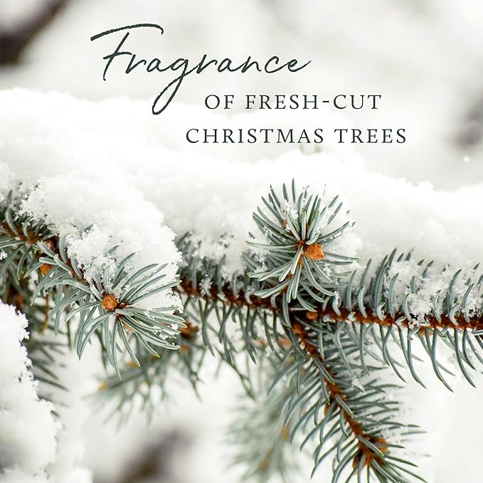 Thymes Frasier Fir All-Purpose Cleaner - Biodegradable Cleaner with Natural Essential Oils - Household Spray for Cleaning Bathrooms, Kitchens, Counters, and Other Surfaces (16 fl oz)