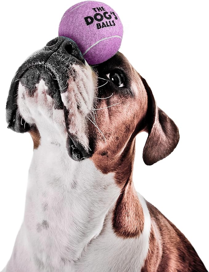 The Dog's Balls Dog Tennis Balls for Dogs, Lilac, 12-Pack - Non-Abrasive Felt Fetch Balls, Tough Rubber Core, Float in Water, Fits Standard Launchers