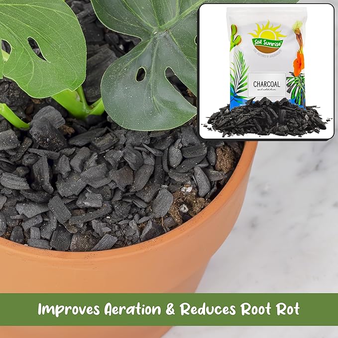 Soil Sunrise Horticultural Charcoal for Indoor Plants (4 Quarts) Hardwood Soil Additive for Orchids, Terrariums, and Gardening