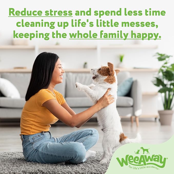 Ultra-Concentrated Stain & Strong Odor Eliminator, Enzyme Cleaner, Pet Odor Eliminator for Home - Dog Urine Destroyer - Carpet Cleaner Spray, Green Tea Scent, 16 fl oz