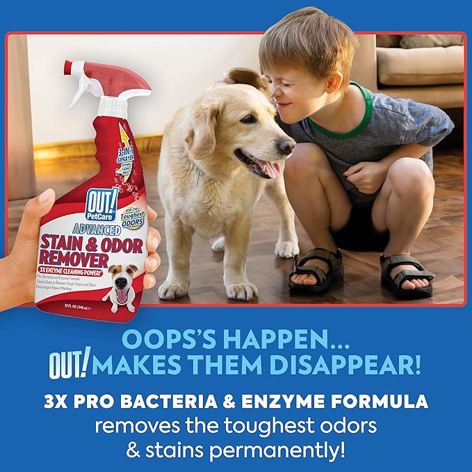 Pet Odor & Stain Remover Spray, Natural Scent, 32oz (2-Pack)