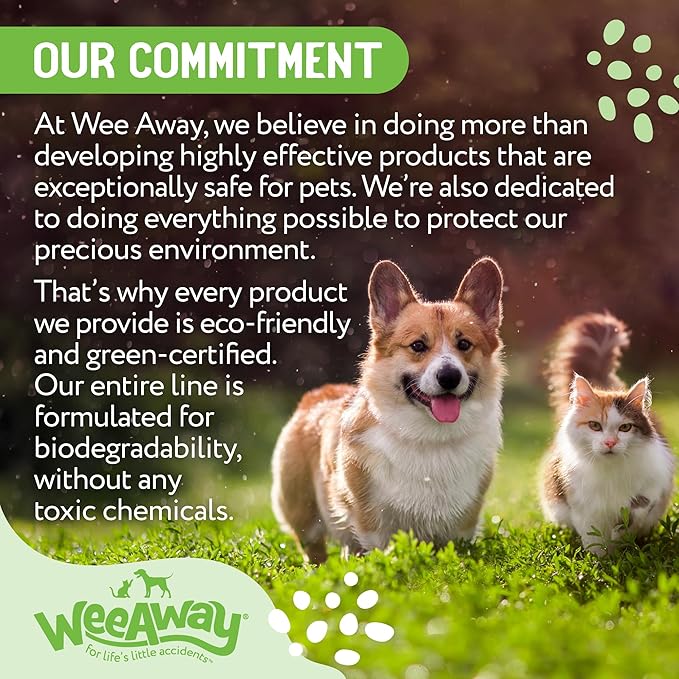 Ultra-Concentrated Stain & Strong Odor Eliminator, Enzyme Cleaner, Pet Odor Eliminator for Home - Dog Urine Destroyer - Carpet Cleaner Spray, Green Tea Scent, 16 fl oz