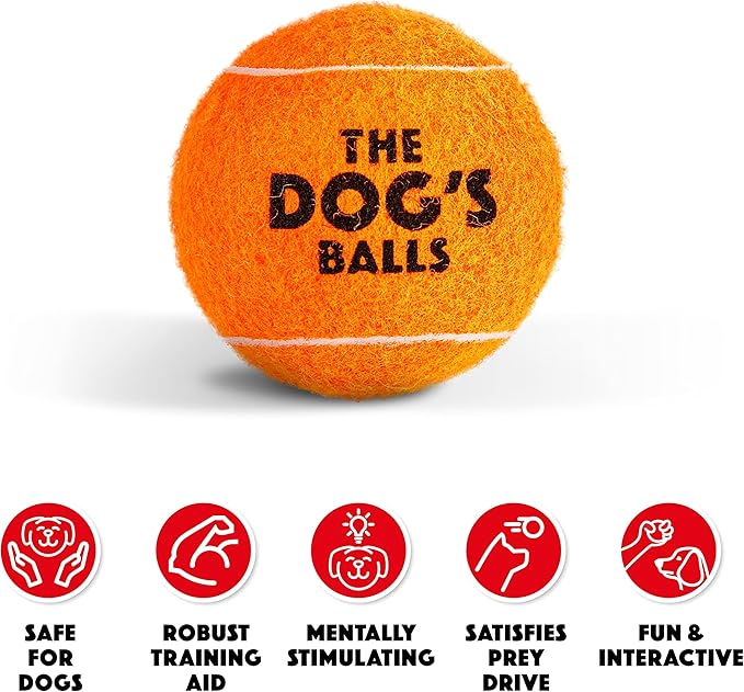 The Dog's Balls Dog Tennis Balls for Dogs, Orange, 12-Pack - Non-Abrasive Felt Fetch Balls, Tough Rubber Core, Float in Water, Fits Standard Launchers
