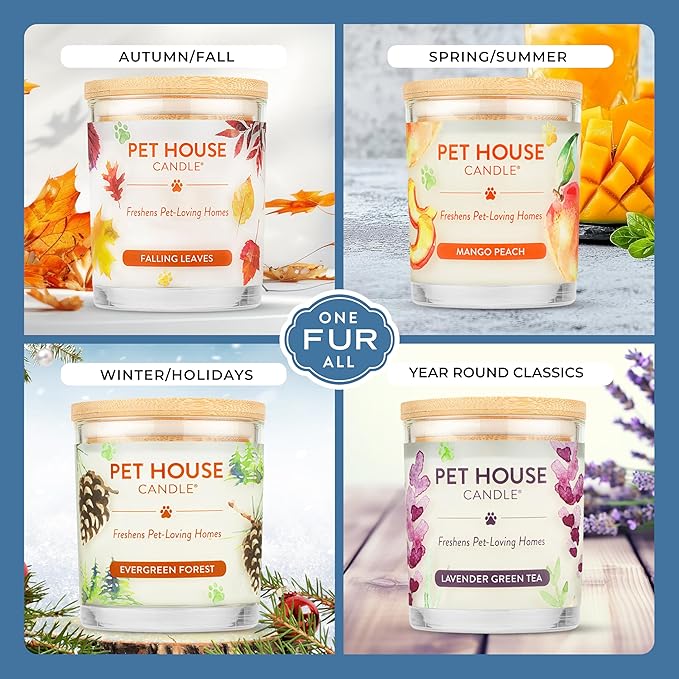 Pet House Candles, Clean Long-Burning, Scented Pet Friendly Candles, Plant-Based, 60 Hour Burn Time - Fresh Cut Roses, 9 oz