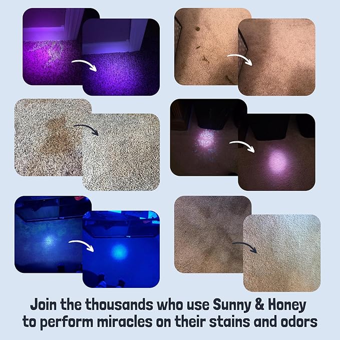 Sunny & Honey Pet Stain Remover - For New and Deep-set Stains - Pet & Kid Safe Pet Enzyme Cleaner - Fast Acting Carpet Cleaner Spray for Rugs, Upholstery & Furniture (128 fl oz, Spring Mint)
