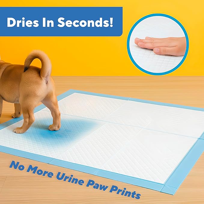 Extra Large Pee Pads for Dogs 30x23 in, 25 Count | Super Absorbent Multilayer Leak Proof Design | Quick Dry Top Layer | Includes Pet Urine Enzyme Cleaner | Disposable Potty Training Mat