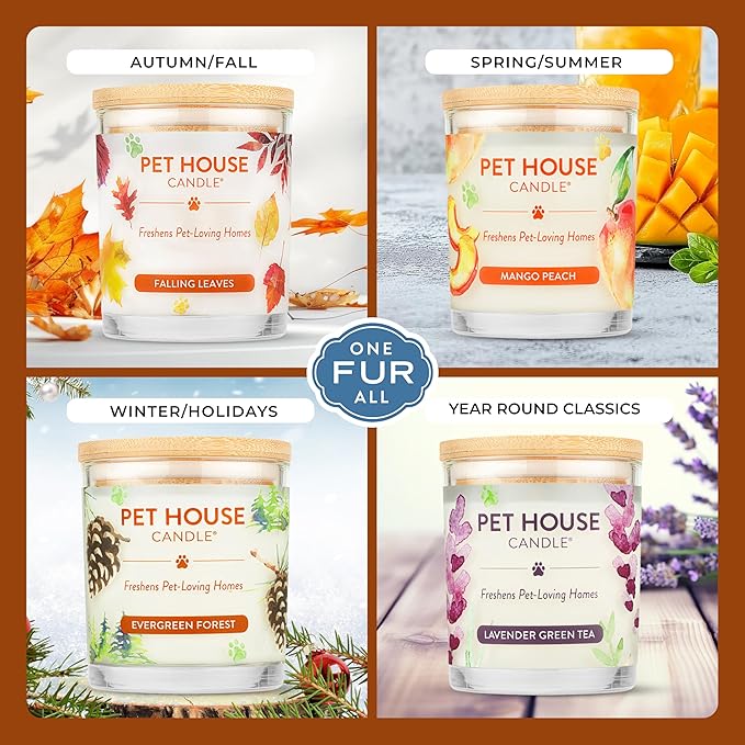 One Fur All Pet House Fall Candles, Long Lasting, Clean Burning, Soy Wax Scented Candles for Pet Odor, Pumpkin Spice, 2 Pack