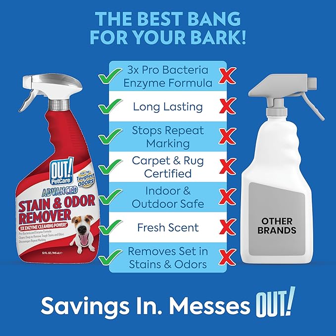 Pet Odor & Stain Remover Spray, Natural Scent, 32oz (2-Pack)