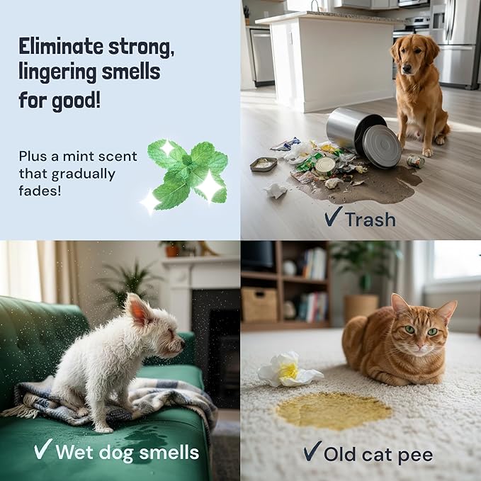 Sunny & Honey Pet Stain & Odor Miracle - Carpet Cleaner For New & Deep-set Messes - Enzyme Cleaner for Dog Urine & Cat Pee - Pet Stain Remover - Surface Odor Eliminator (128 fl oz, Light Lavender)