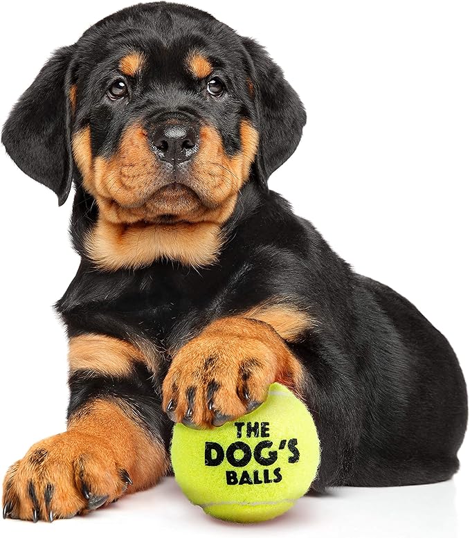 The Little Dog’s Balls Dog Tennis Balls for Small Dogs & Puppies, Yellow, 6-Pack - Non-Abrasive Felt Fetch Balls, Tough Rubber Core, Float in Water