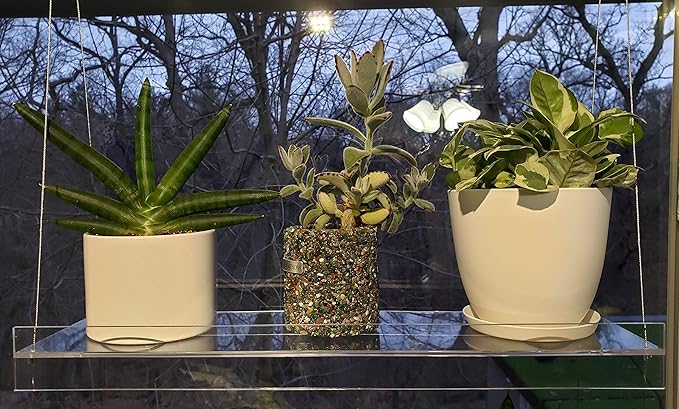 Hanging Acrylic Shelves for Windows (34" Wide, 4 Shelves - 55" Tall)