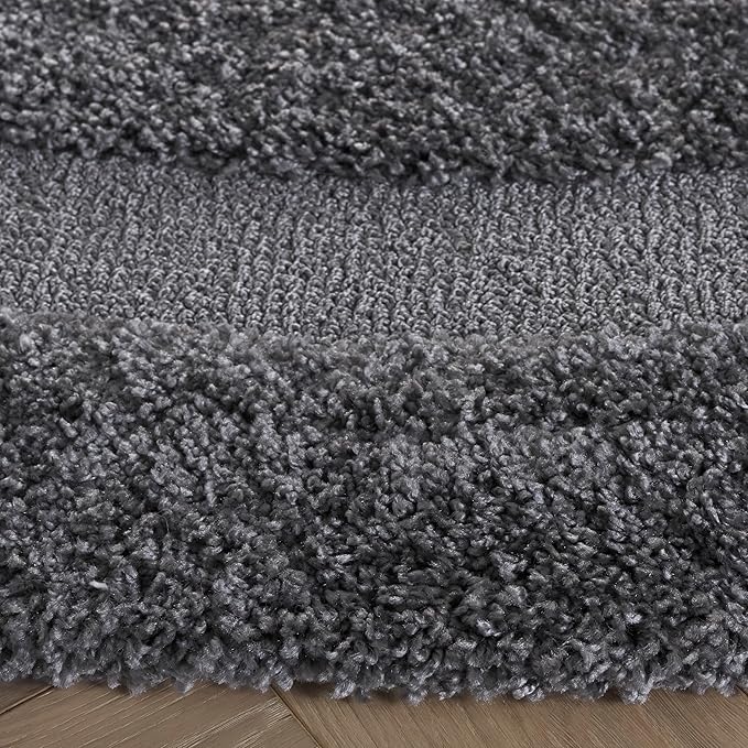 SAFAVIEH Florida Shag Collection Area Rug - 5' Round, Grey & Grey, Border Design, Non-Shedding & Easy Care, 1.2-inch Thick Ideal for High Traffic Areas in Living Room, Bedroom (SG454-8080)