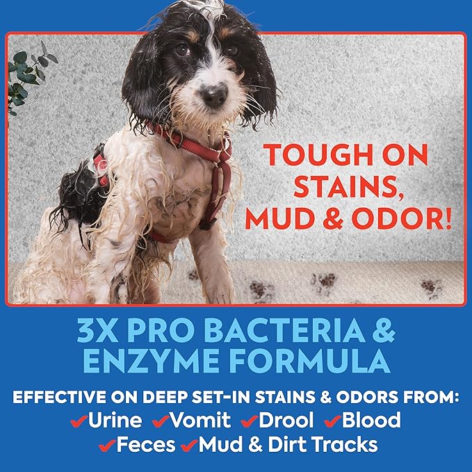 Pet Odor & Stain Remover Spray, Natural Scent, 32oz (2-Pack)