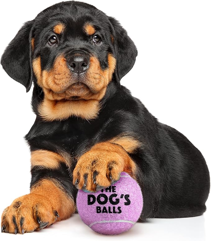 The Little Dog’s Balls Dog Tennis Balls for Small Dogs & Puppies, Lilac, 6-Pack - Non-Abrasive Felt Fetch Balls, Tough Rubber Core, Float in Water