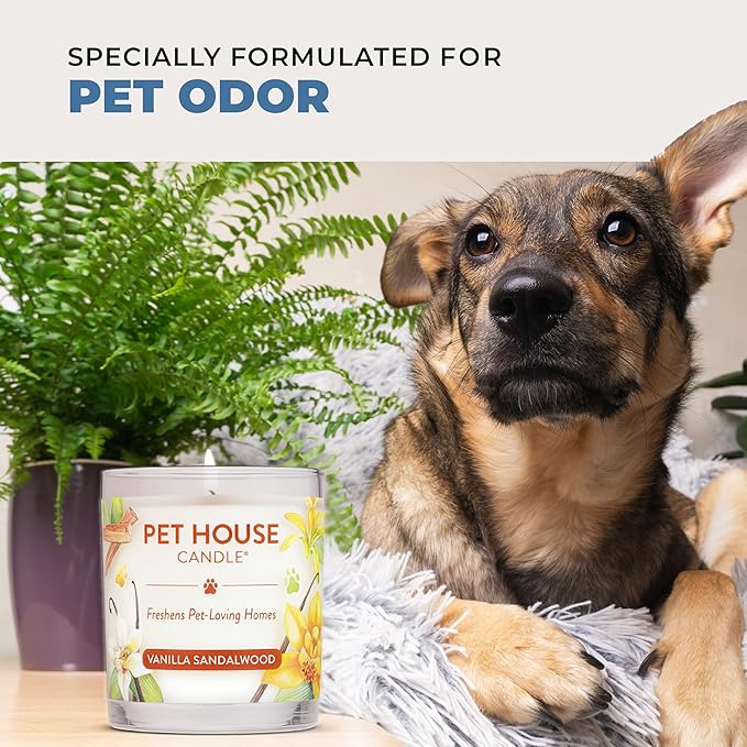 One Fur All Pet House Candle 2 Pack - Plant-Based/Soy- Clean Burning Scented, Long Lasting Pet Odor Candle for Home - Hollyberry