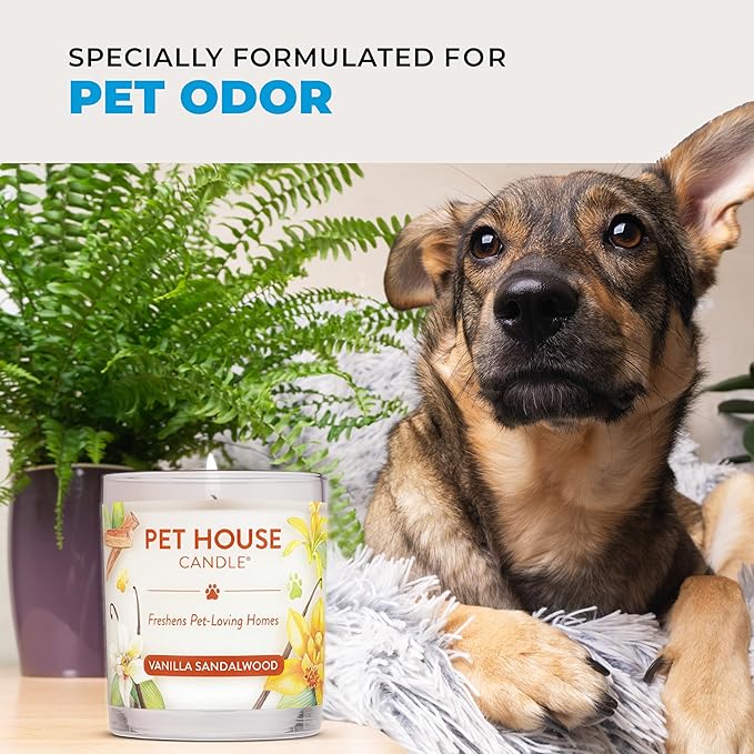 Pet House Candles, Clean Long-Lasting Pet Odor Candles for Home, Plant-Based, 60 Hour Burn Time - Lemon Cupcake, 9 oz, 2 Pack