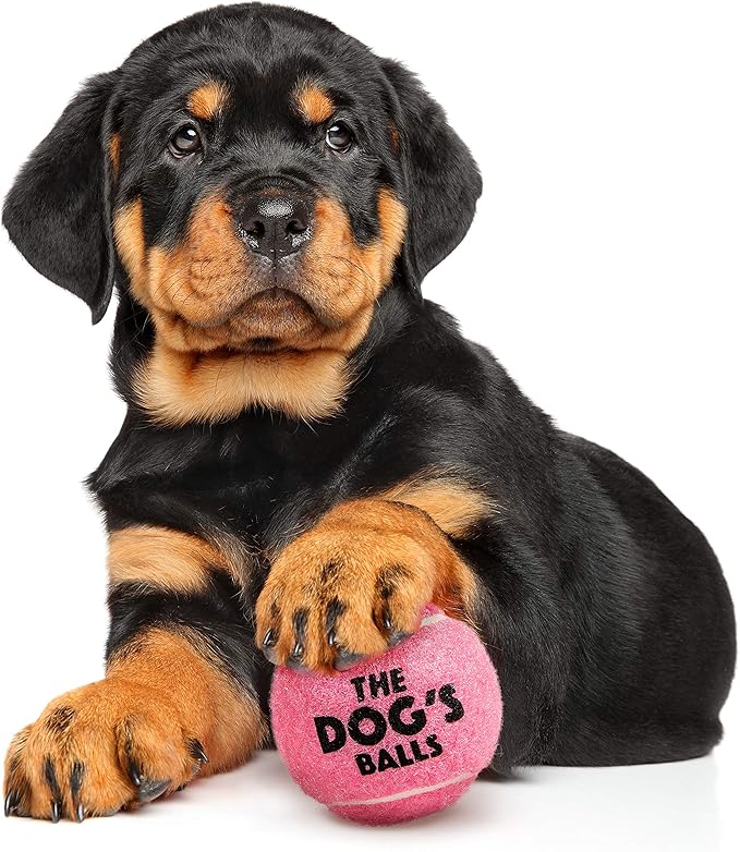 The Little Dog’s Balls Dog Tennis Balls for Small Dogs & Puppies, Pink, 6-Pack - Non-Abrasive Felt Fetch Balls, Tough Rubber Core, Float in Water