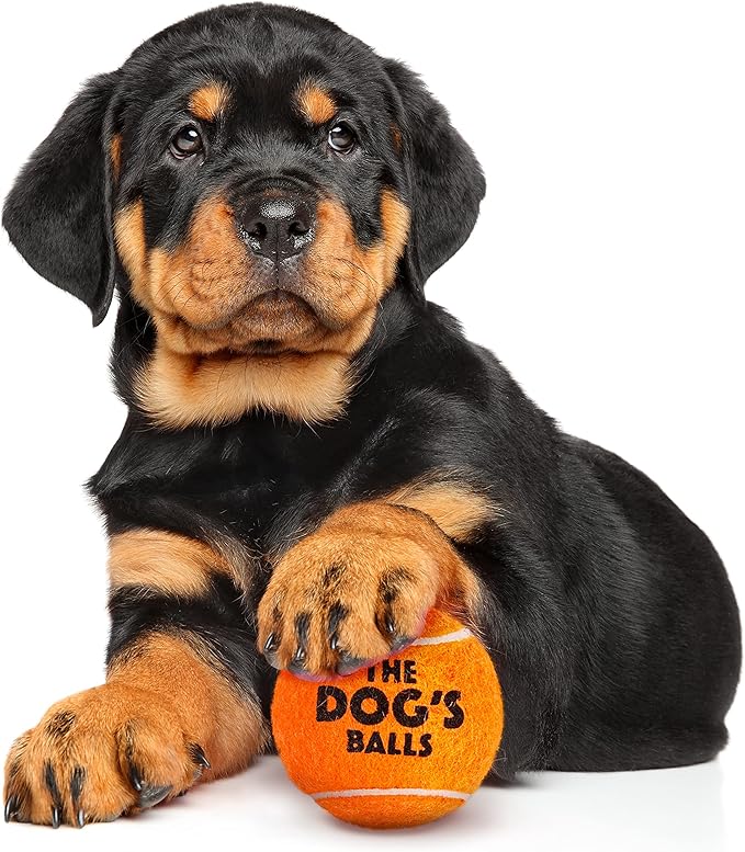The Little Dog’s Balls Dog Tennis Balls for Small Dogs & Puppies, Orange, 6-Pack - Non-Abrasive Felt Fetch Balls, Tough Rubber Core, Float in Water