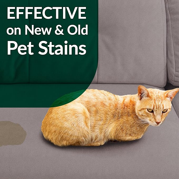Cat Stain & Odor Remover - Enzyme Cleaner for Cat Urine, Feces, Blood, Vomit - 32oz